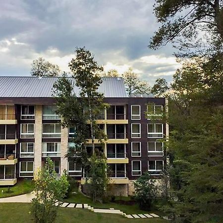 Departamento Familiar Διαμέρισμα Pucón Εξωτερικό φωτογραφία